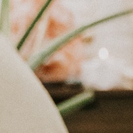 Cynthia Magaña Digame