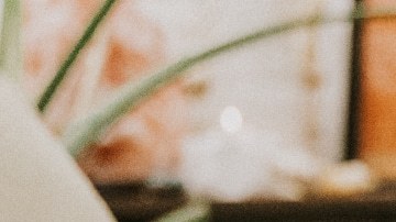 Cynthia Magaña Digame