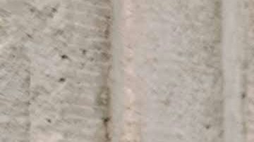 Latina equal pay day 2025