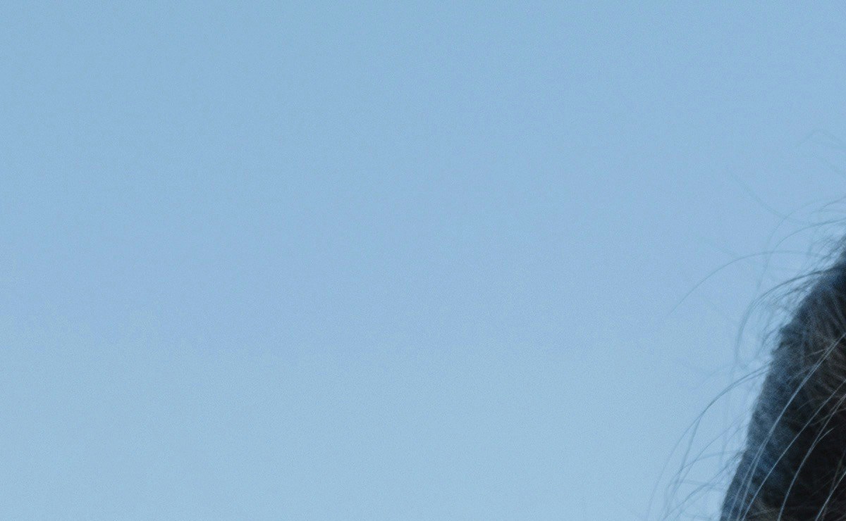 A Love Letter to Latinas of Mixed Heritage Who Never Felt They Fit In ...
