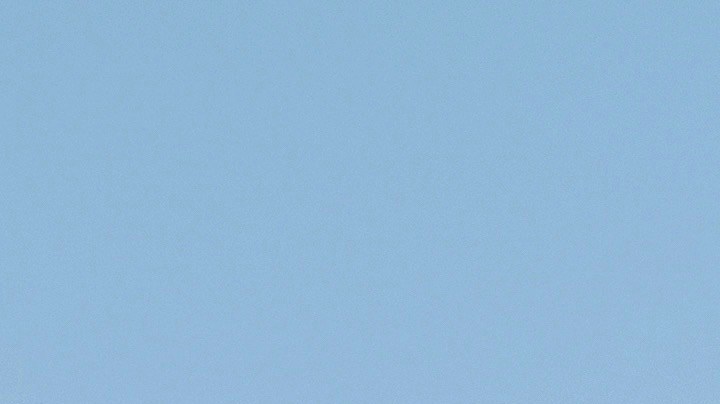 Mixed heritage Latinas