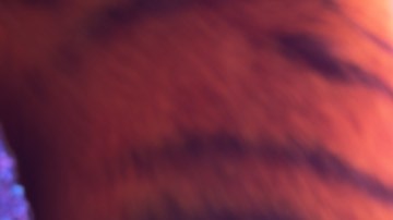 Gazelle Shakira Zootopia 2