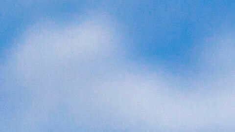 Puerto RIco Bad Bunny