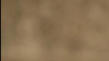 Fatima Bosch Miss Mexico