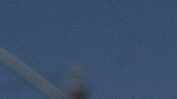 After Immigration Raids Los Angeles