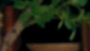 YouTube: Call Her Daddy