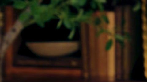 YouTube: Call Her Daddy