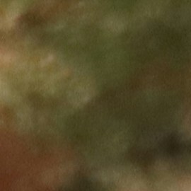 manny-becerra-UI26eExOYk4-unsplash