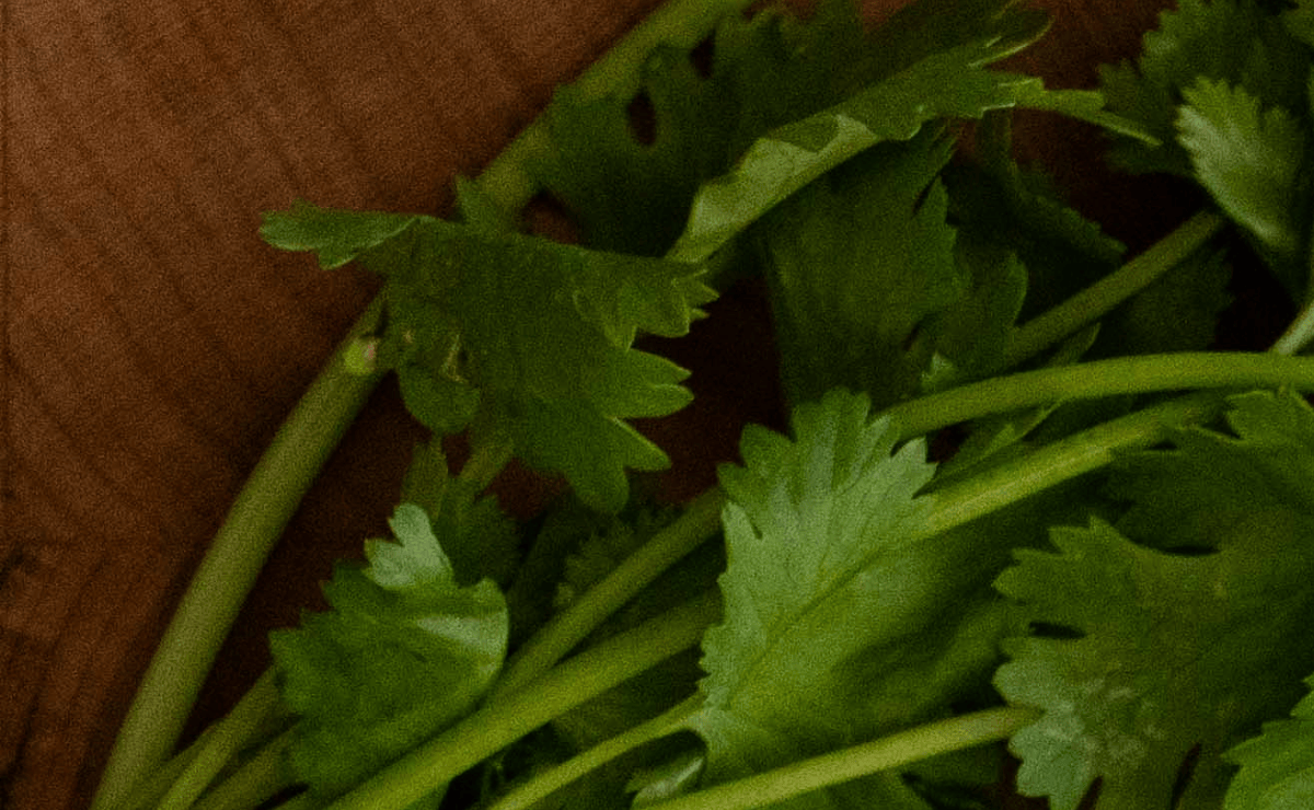 In Their Kitchens, Every Meal Is a Way Back Home - HipLatina