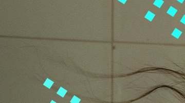 header-hl-yendry